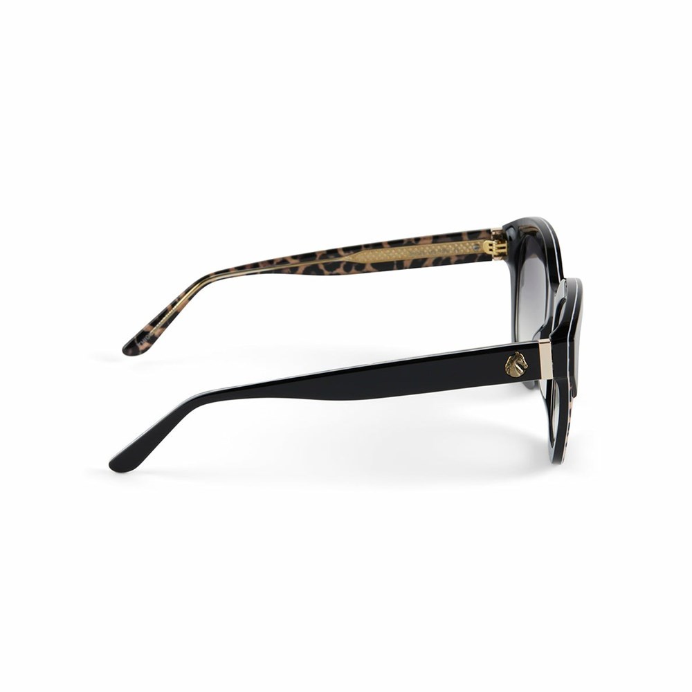 Black Leopard Women's Patricia Nash Hutton Sunglasses | 28790YVTK