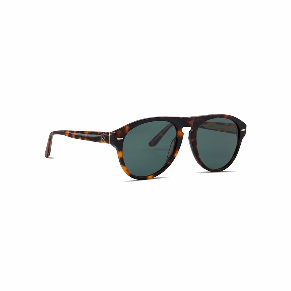 Black Women's Patricia Nash McQueen Sunglasses | 39251GFJD