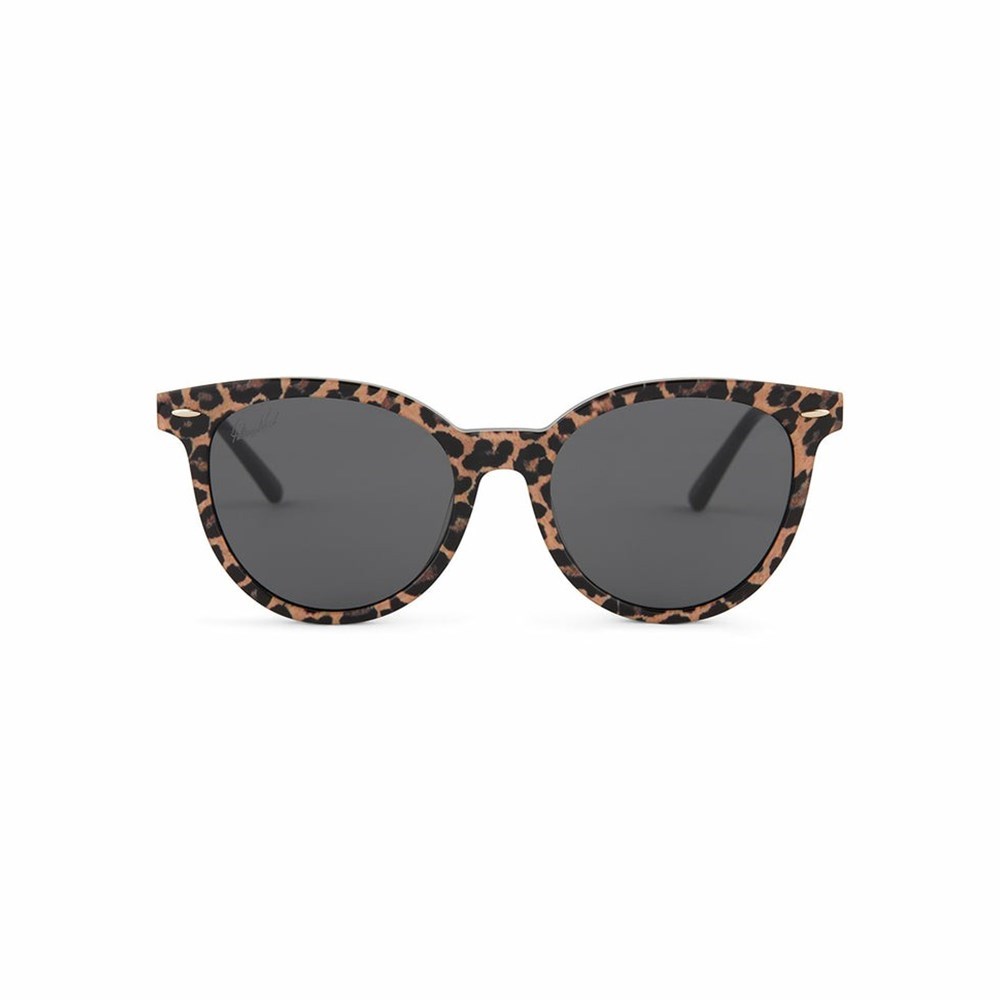 Leopard Women\'s Patricia Nash Blondie Sunglasses | 05396AKQB