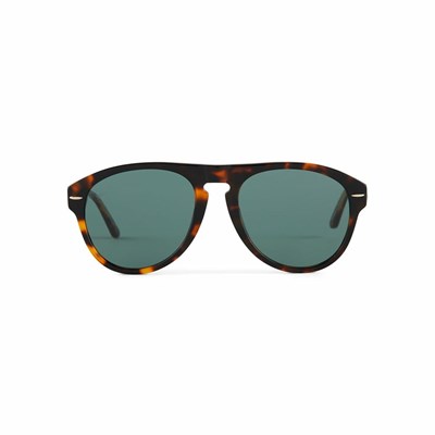 Black Women's Patricia Nash McQueen Sunglasses | 39251GFJD