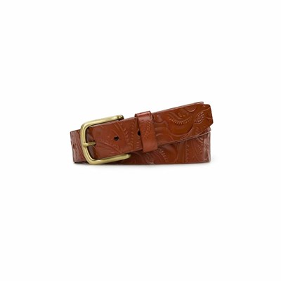 Brown Women's Patricia Nash Pelosa Belts | 07416ZVRE