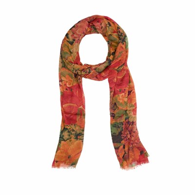 Multicolor Women's Patricia Nash Scarf Scarves | 98235FMSE